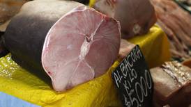 Detectan presencia de carne de tiburón en comercio de albacora 