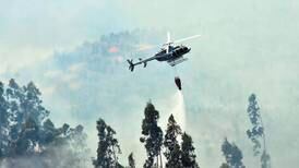 Alerta roja en Ancud: incendio forestal consume 250 hectáreas de vegetación