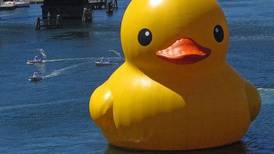 Rubber Duck: el pato gigante que ha sido acuchillado y plagiado que llega a Chile