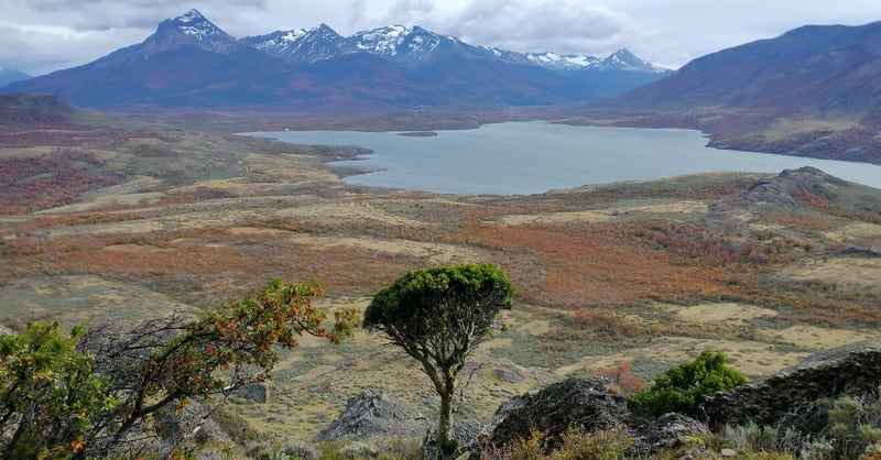 Ruta Rupestre Patagonia | Fuente: Publimetro