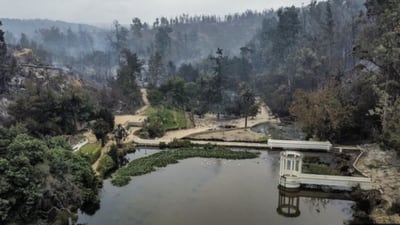 Jardín Botánico reabrirá de forma gradual luego de dos meses del incendio en Viña del Mar