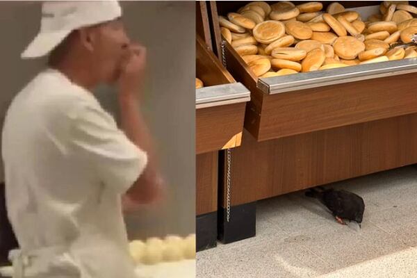 Panadería de famoso supermercado nuevamente en el ojo del huracán: Ahora feca de paloma
