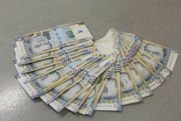 Viral: Ratón destrozó los billetes ahorrados de una señora