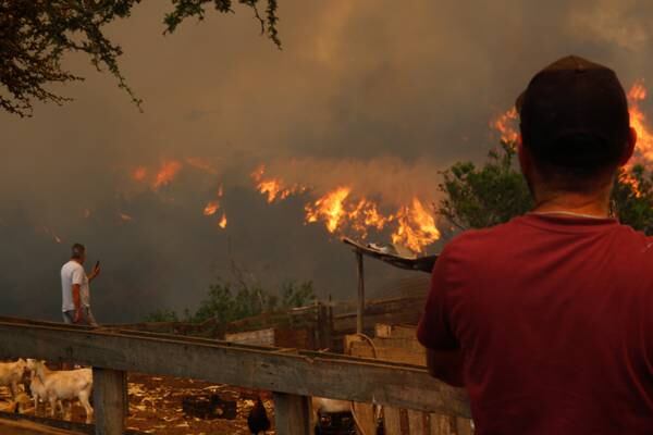 Incendios en la Región de Valparaíso: 13.332 hectáreas son las afectadas