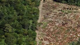 El Amazonas alcanza su mayor nivel de deforestación de los últimos años