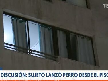 Sujeto lanzó perro del piso 12 de edificio del centro de Santiago en medio de discusión con su pareja
