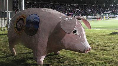 Mítica mascota de Deportes Puerto Montt: Épico regreso del Chancho Lorenzo al Estadio Chinquihue