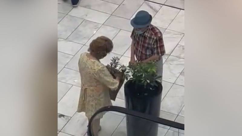 ¡Pintoresco!: Abuela se hace viral por robarse planta de un centro comercial