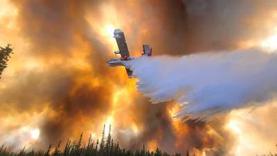 Alaska, con más de 500 incendios forestales en lo que va del año