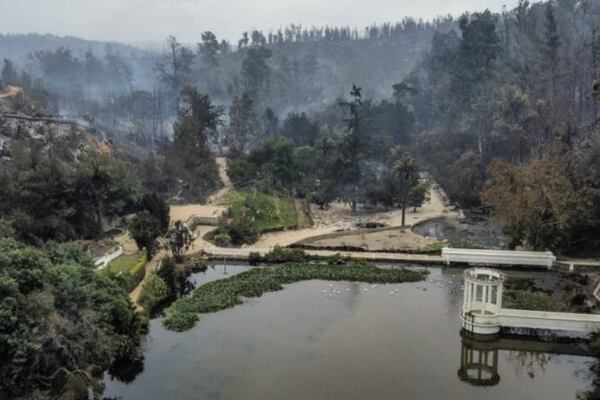 Familiares de fallecidos en incendio de Jardín Botánico se querellarán en contra de alcaldesa Ripamonti por cuasidelito de homicidio