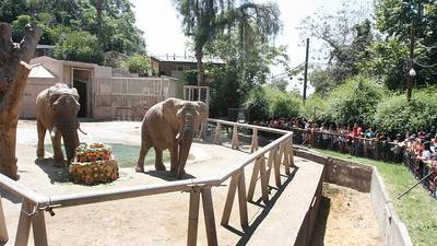 Panorama de vacaciones: Zoológico Metropolitano abrirá de forma gratuita desde este mes