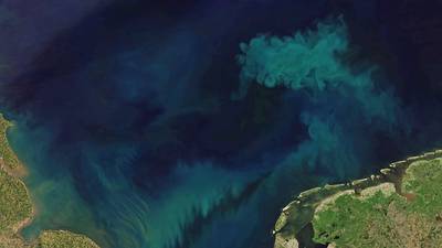 El calentamiento global está cambiando el color de los océanos