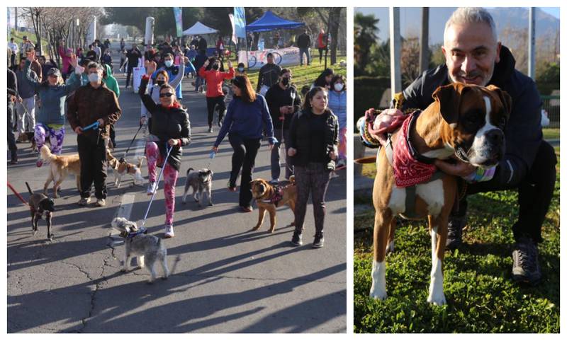 Este domingo se realizó en la comuna de La Reina una nueva corrida de vecinos con sus mascotas.