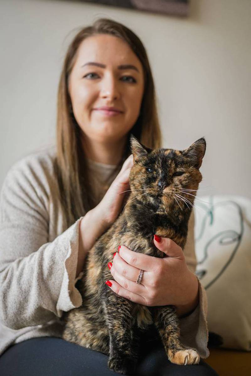 Flossie se apoderó del Récord Guinness por ser la gata más logeva del mundo