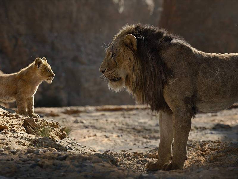 “Mufasa” estrenó tráiler en CineCon: Esto es lo que se sabe de la precuela de “El Rey León”