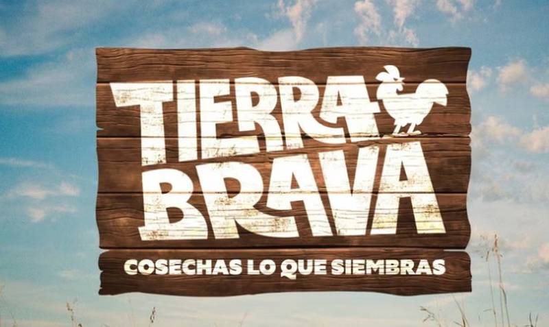 Logo Tierra Brava, Canal 13