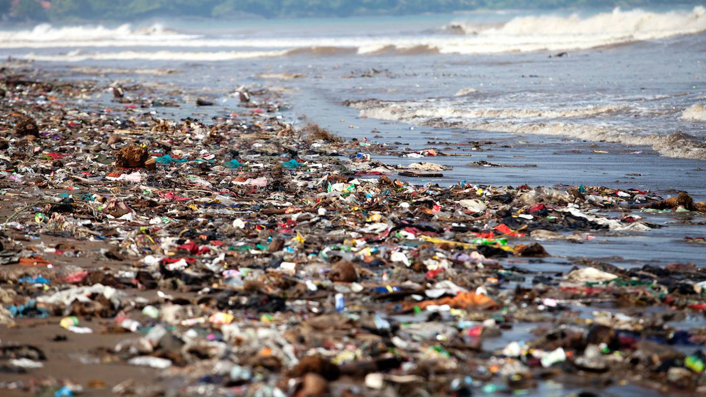 La basura se está comiendo al mar! Las impactantes imágenes de la  contaminación en playa de República Dominicana – Publimetro Chile