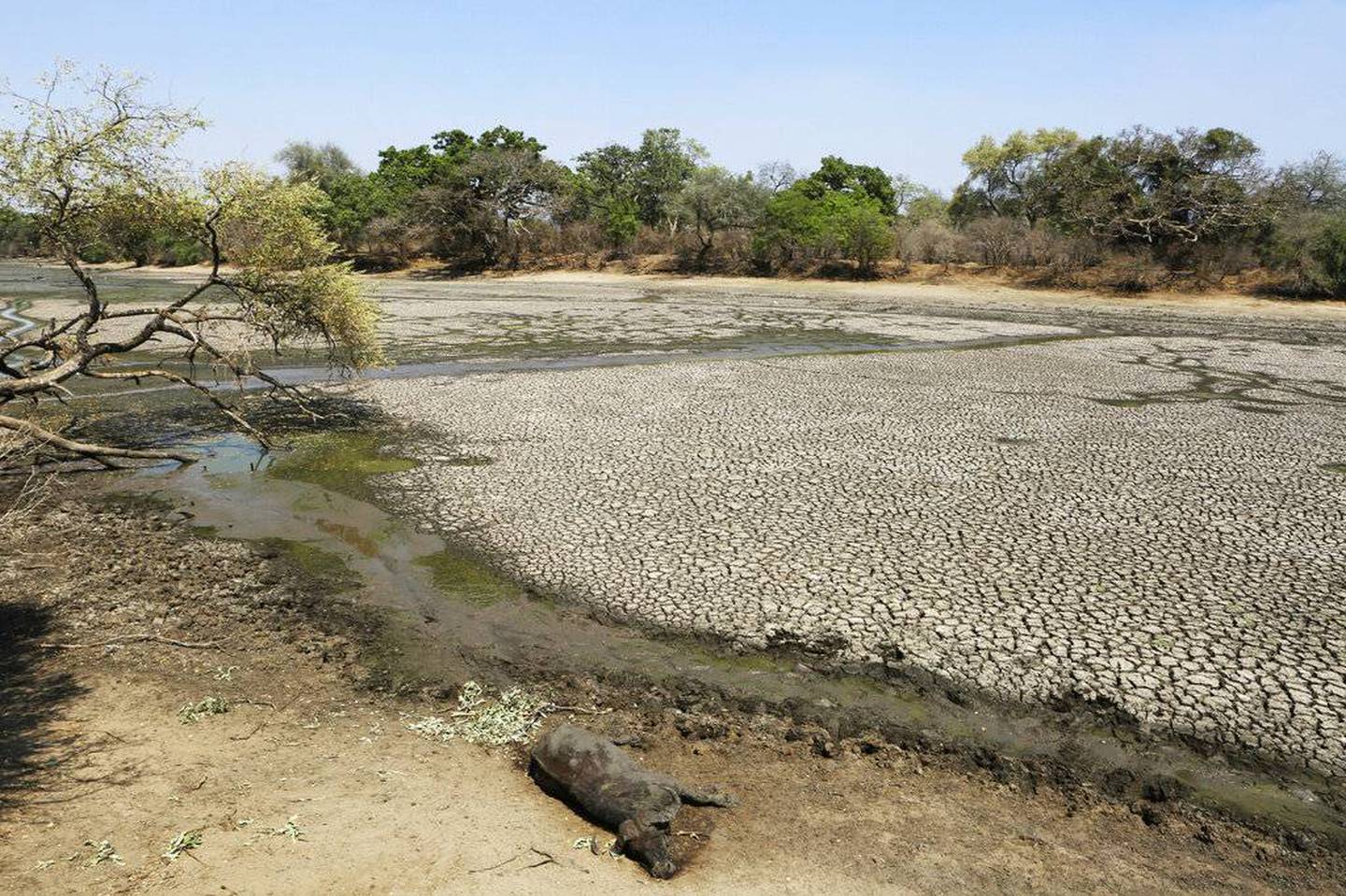 Пересохший водоем. Опустынивание пустынь. Пересыхающие реки Африки. Климат Индии засуха. Мана Пулс Зимбабве.