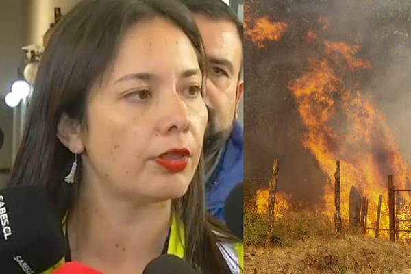 Alcaldesa de Santa Juana acusa abandono tras incendios en el Biobío: “Una famosa empresa privada vino y se fue”