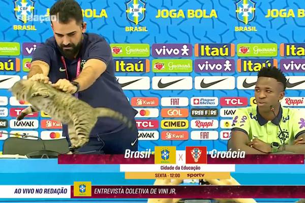 Un gato irrumpe en la conferencia de Vinicius Júnior y el encargado de prensa de Brasil no encontró nada mejor que arrojarlo bruscamente  