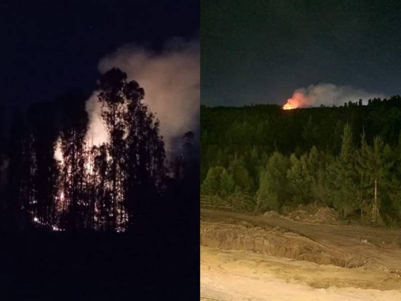Declaran Alerta Roja en Valparaíso por incendio forestal