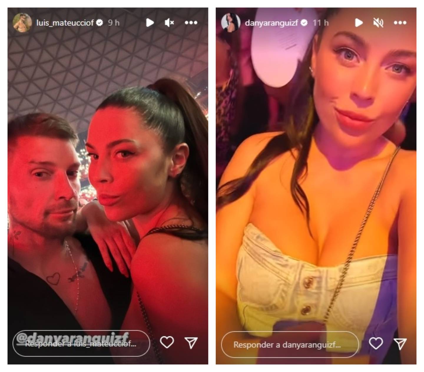 La pareja compartió en sus historias de Instagram imágenes de su asistencia al recital de Romeo Santos.