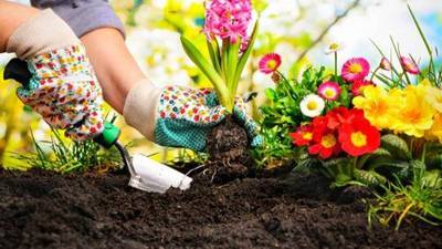 Practicar jardinería ofrece estos 5 beneficios
