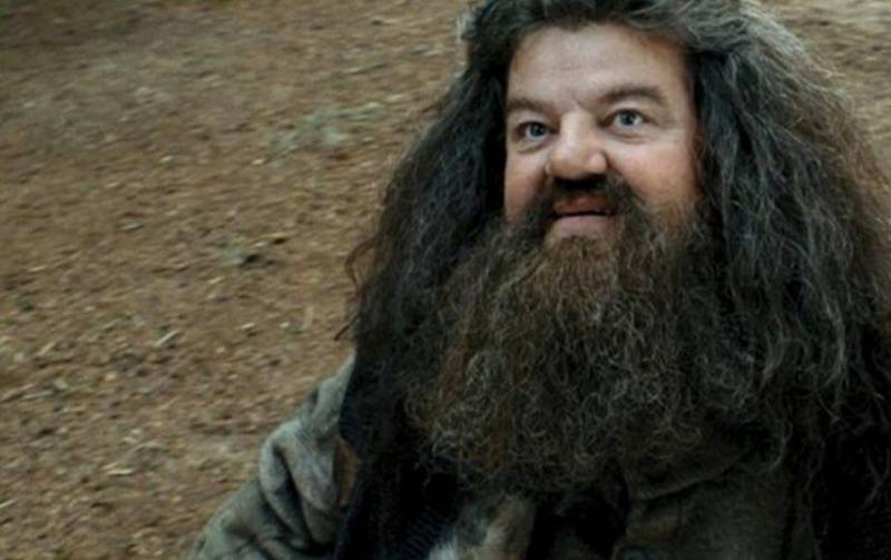 Hagrid (película) Foto: Warner Bros