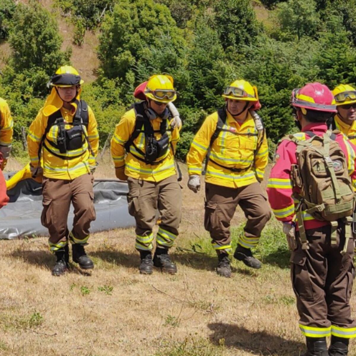 Alerta por calor extremo y riesgo de incendios en la Región Metropolitana Alerta por calor extremo y riesgo de incendios en la Región Metropolitana