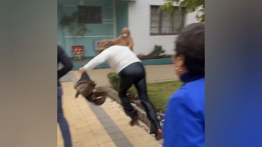 Pantallazo de video.