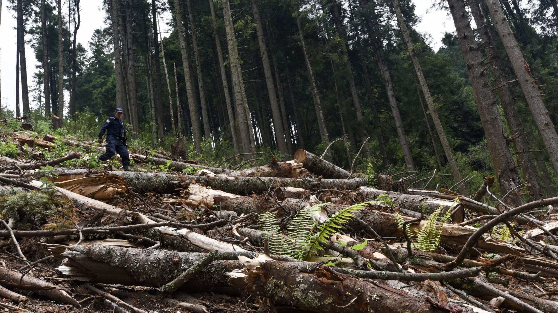 La subsistencia de la vida en la Tierra está en riesgo
