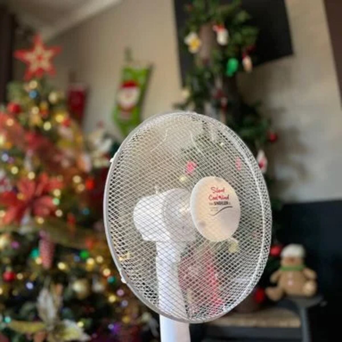 Santiago enfrentará ola de calor en Navidad con 33°C Santiago enfrentará ola de calor en Navidad con 33°C