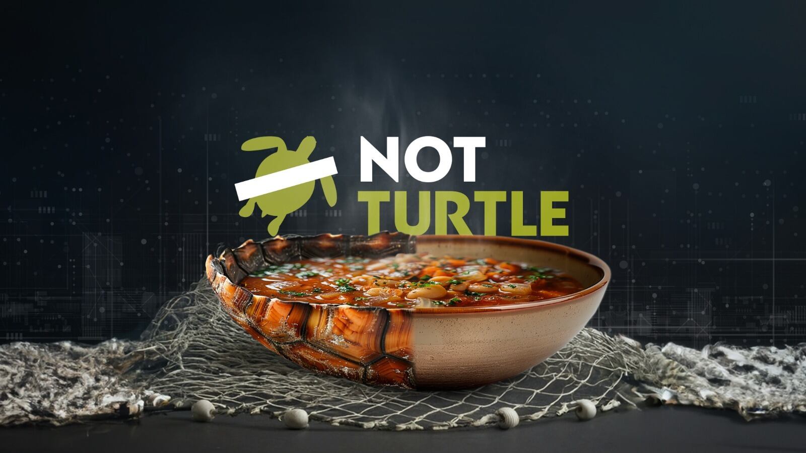 NotTurtle