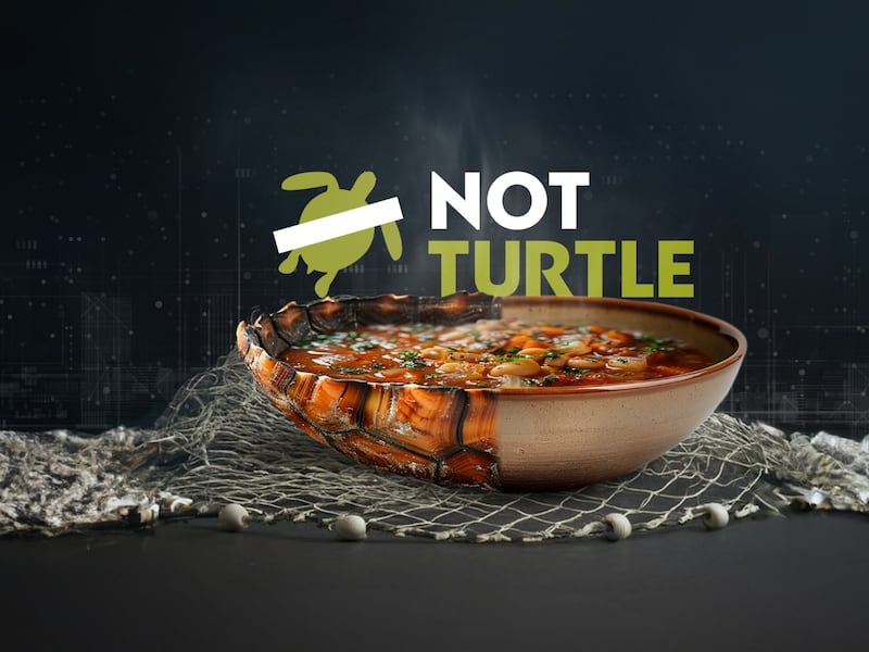 La IA ayudó a crear la primera sopa de tortugas sin matarlas