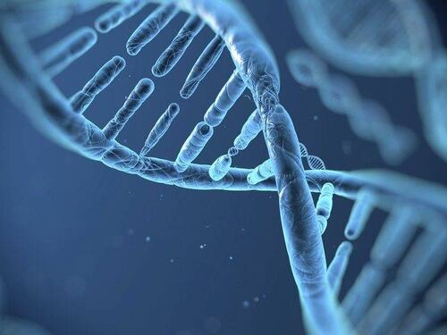 ¿Has oído hablar del Disco de la Inmortalidad? Científicos viajaron a la Estación Espacial para resguardarlo