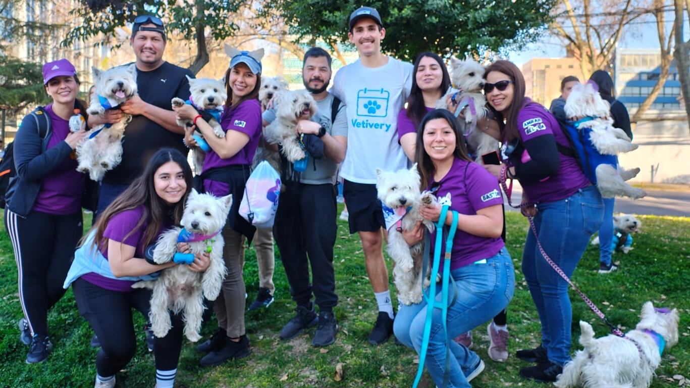 En nuestro país, cerca del 90% de la población tiene bajo su cuidado al menos una mascota.