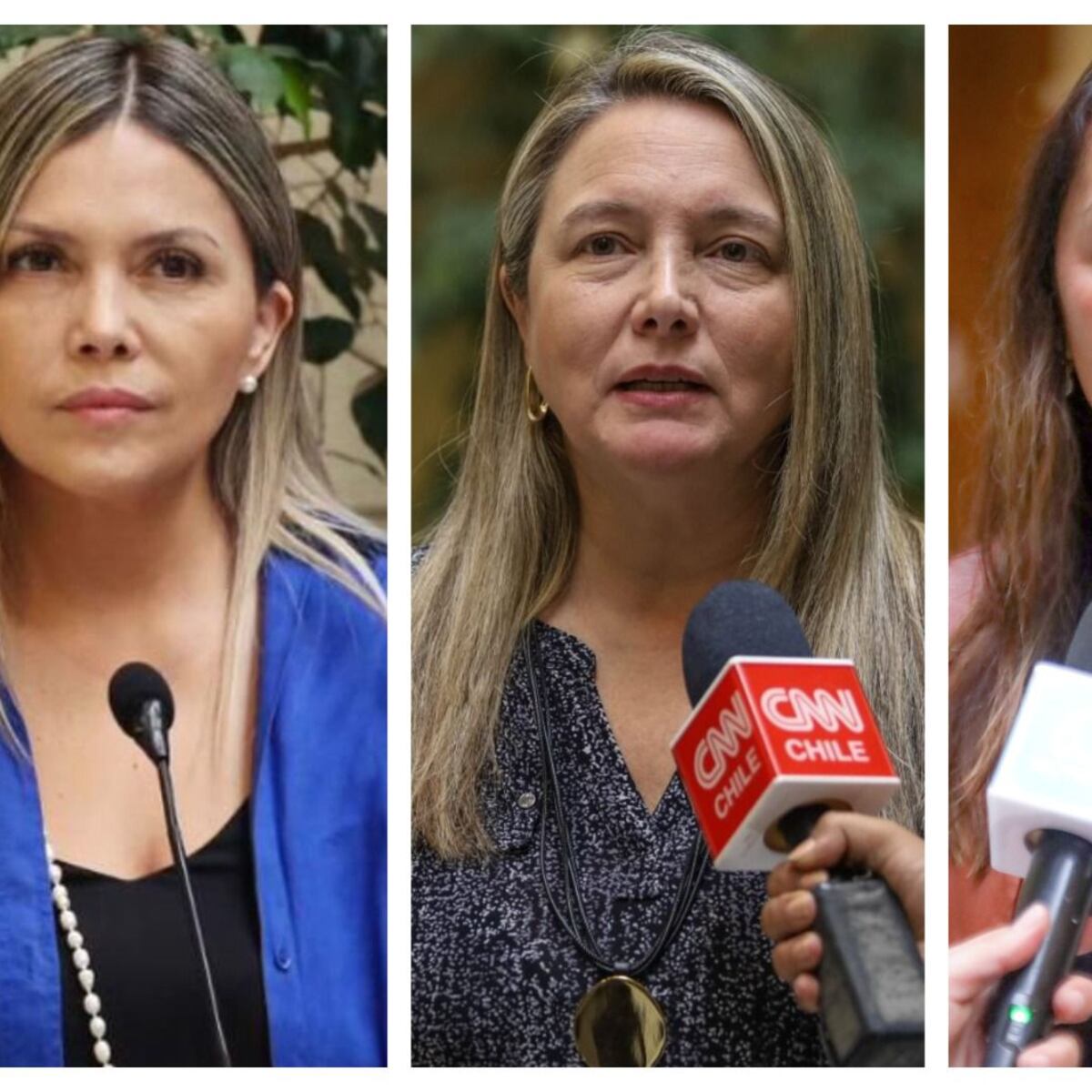 Diputadas piden intervención del Mineduc por agresiones a menor con TEA en Antofagasta Diputadas piden intervención del Mineduc por agresiones a menor con TEA en Antofagasta