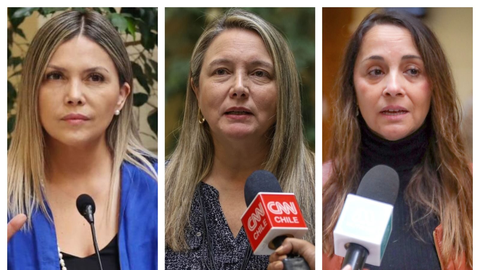 Diputadas de la Comisión de Discapacidad cuestionan protocolos y piden al Mineduc intervenir