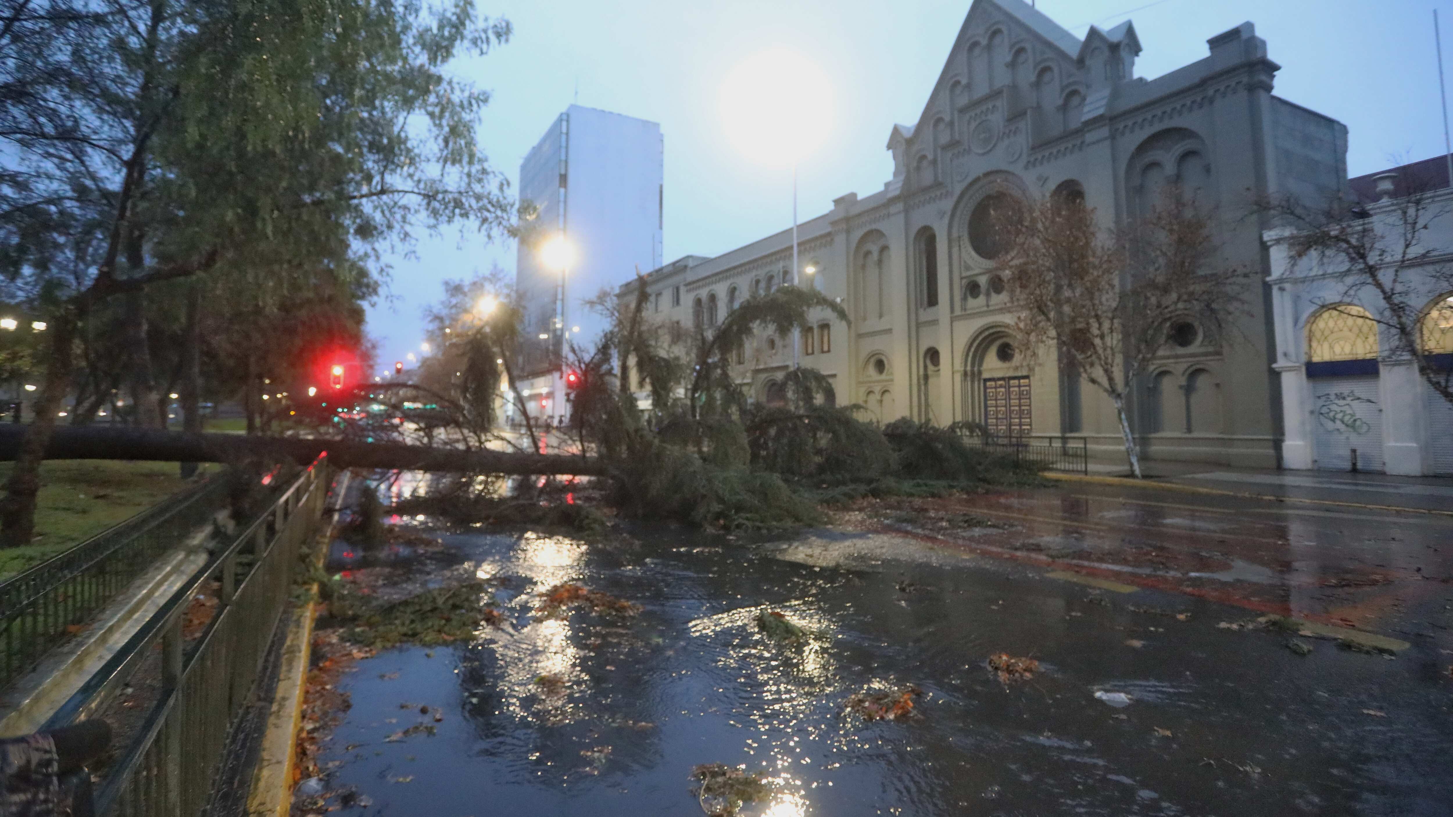 Estragos del sistema frontal en la RM