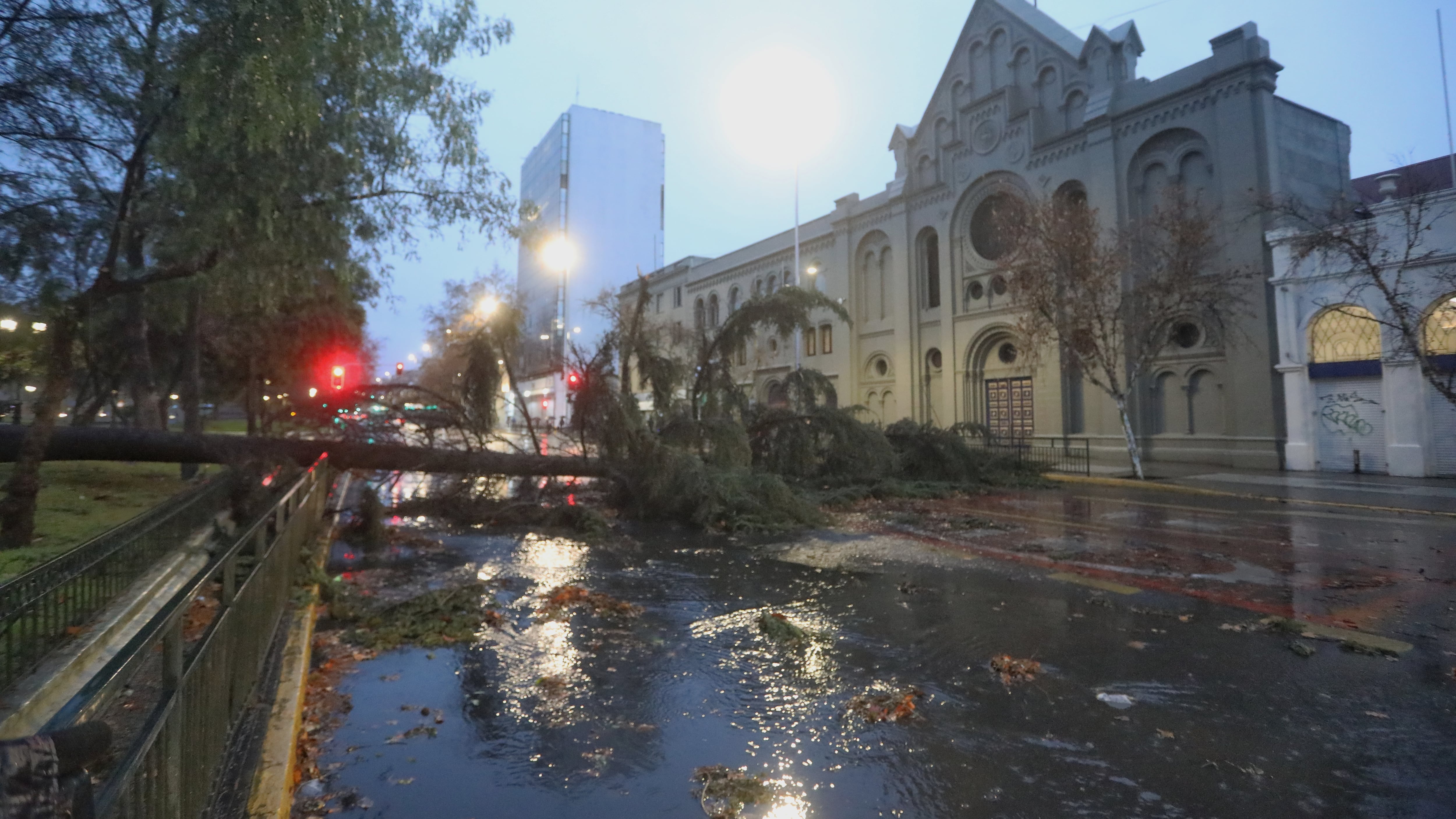Estragos del sistema frontal en la RM