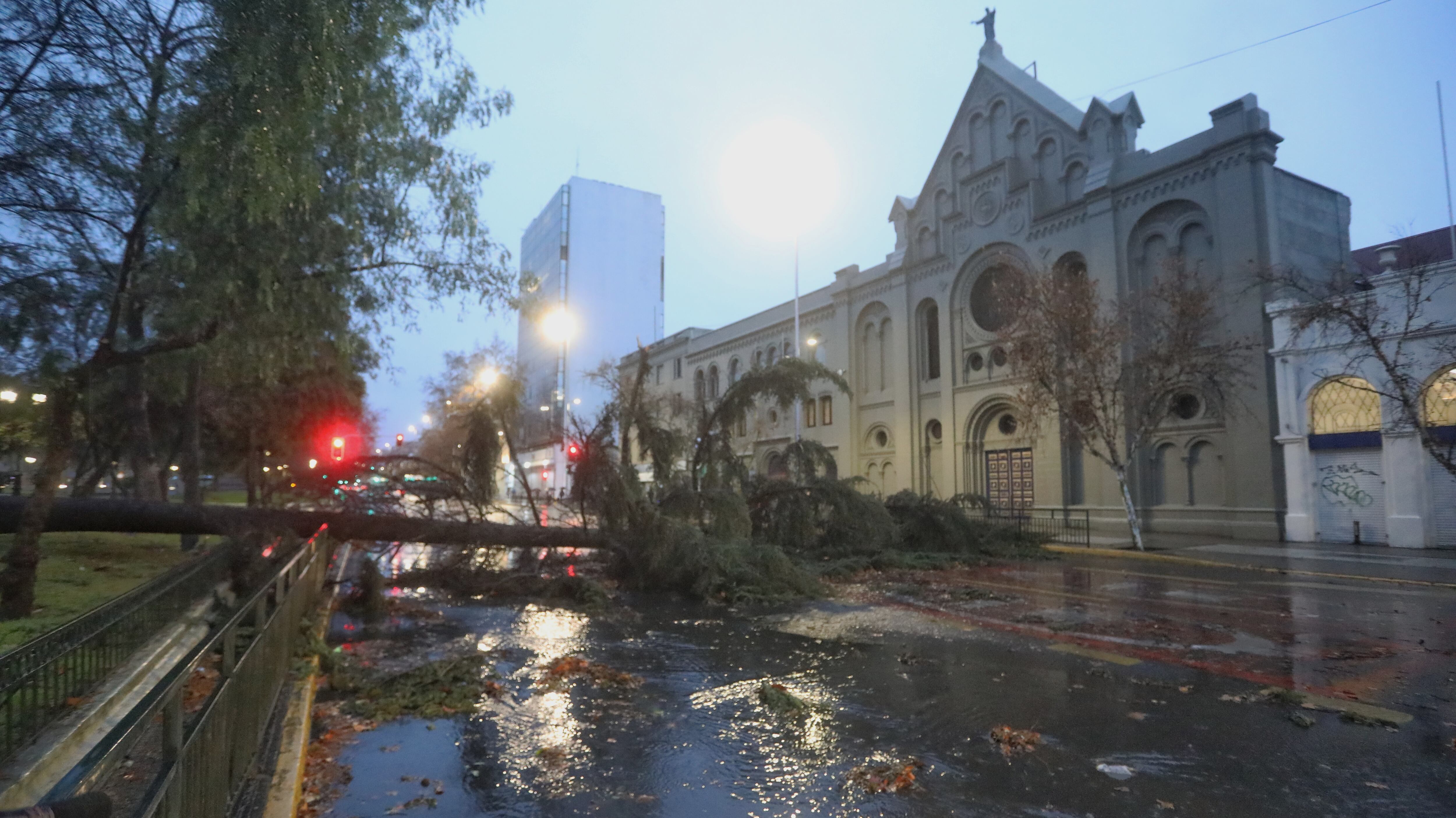 Estragos del sistema frontal en la RM