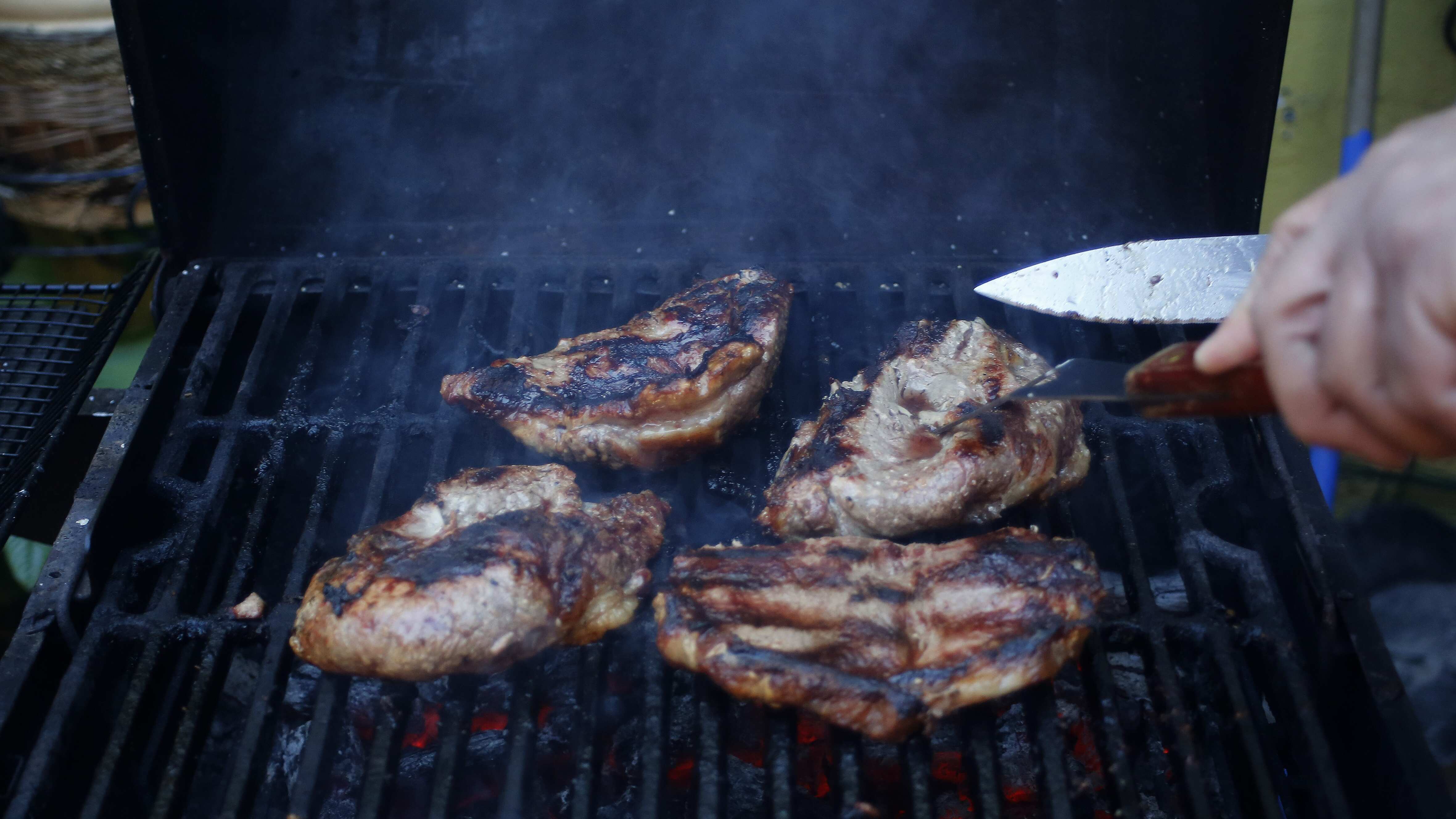 Proyecto que prohíbe hacer asados en días de alto calor