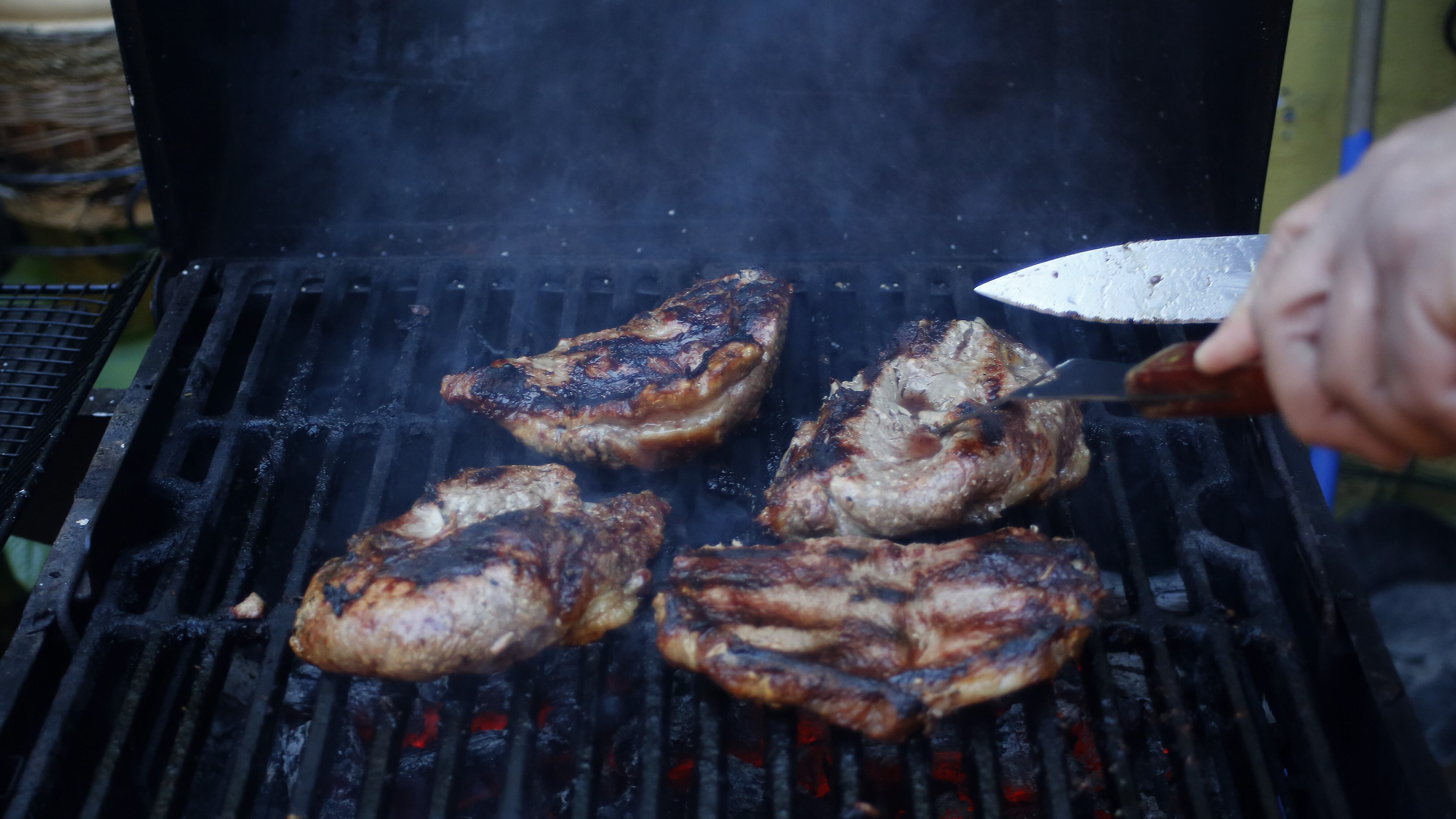 Proyecto que prohíbe hacer asados en días de alto calor
