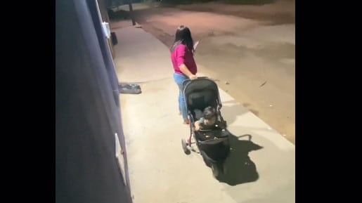 La mujer está tan enfocada en su móvil que ni se da cuenta cuando se llevan a su bebé