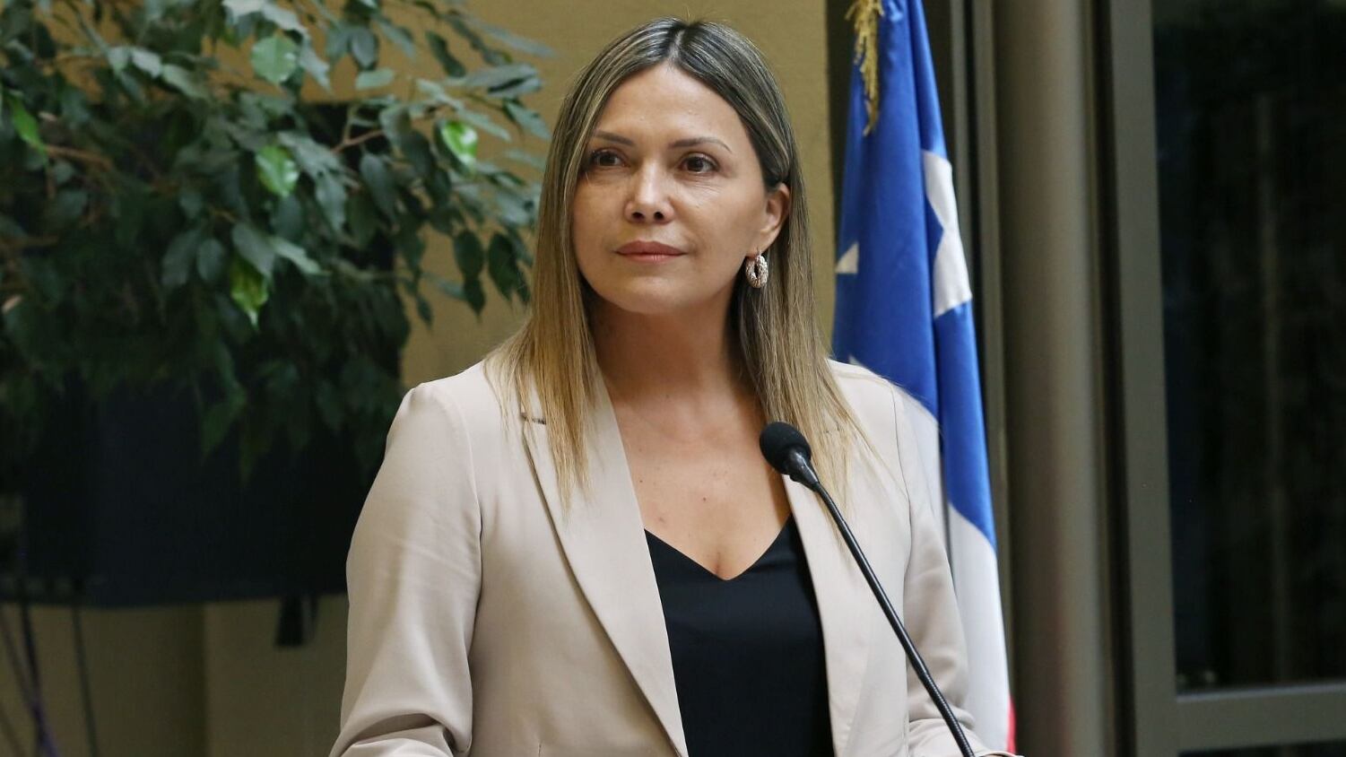 La diputada independiente por la UDI, Marlene Pérez.