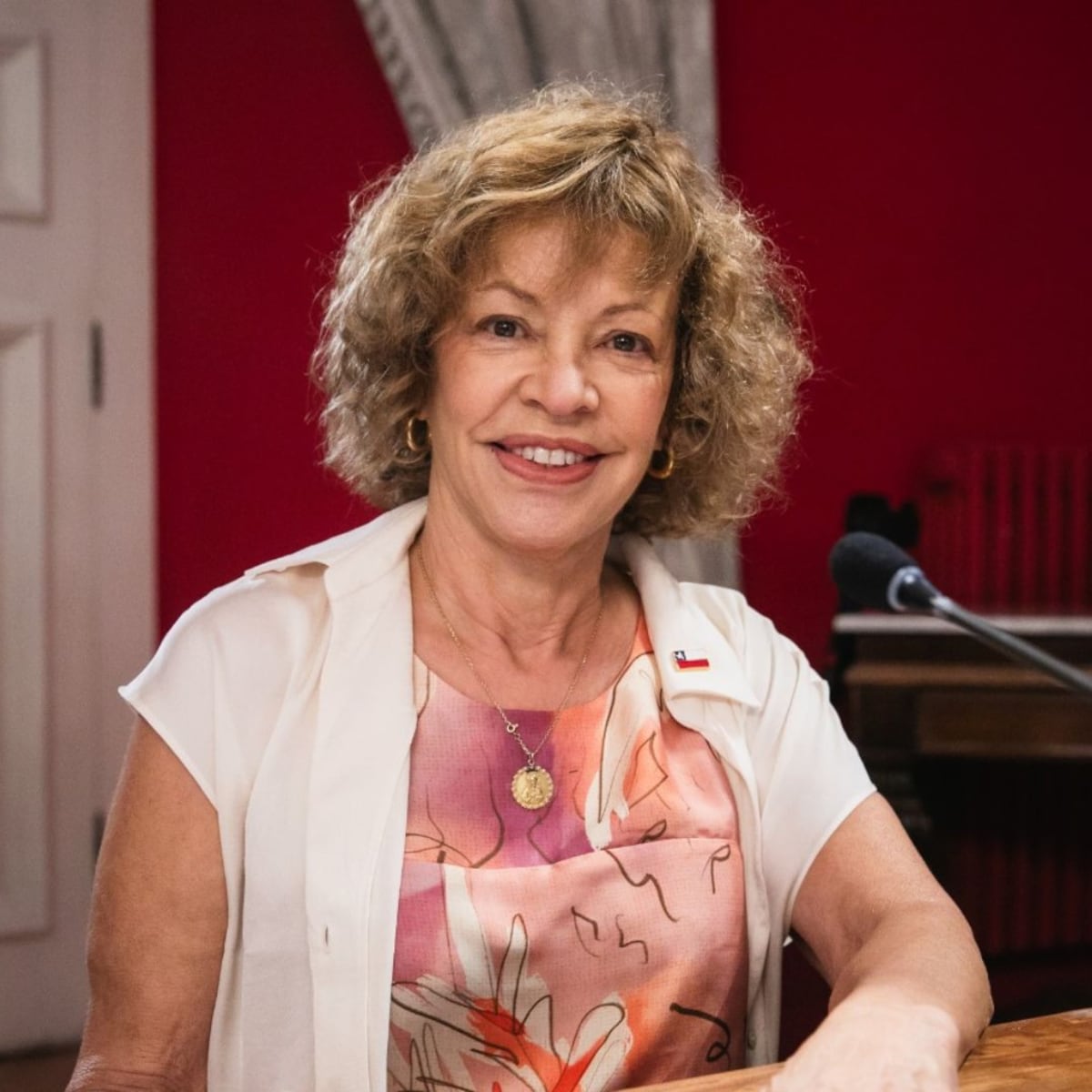 Gobierno de Kast reestructura Bienes Nacionales y elimina Unidad de Pueblos Indígenas Gobierno de Kast reestructura Bienes Nacionales y elimina Unidad de Pueblos Indígenas