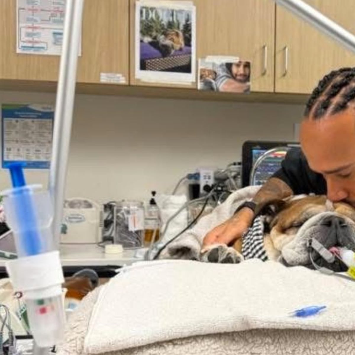 Lewis Hamilton comparte mensaje sobre salud de su perro Lewis Hamilton comparte mensaje sobre salud de su perro
