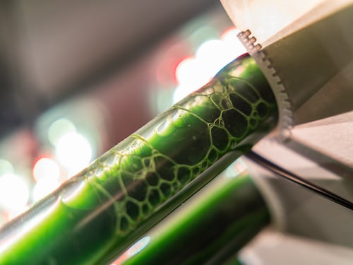Científicos crean algas capaces de eliminar microplásticos del agua potable