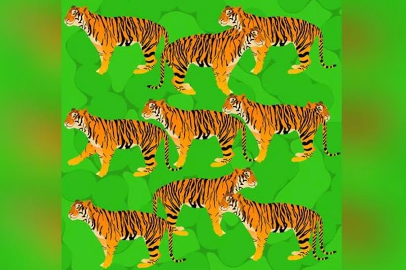Descubre cuántos tigres hay en la imagen.