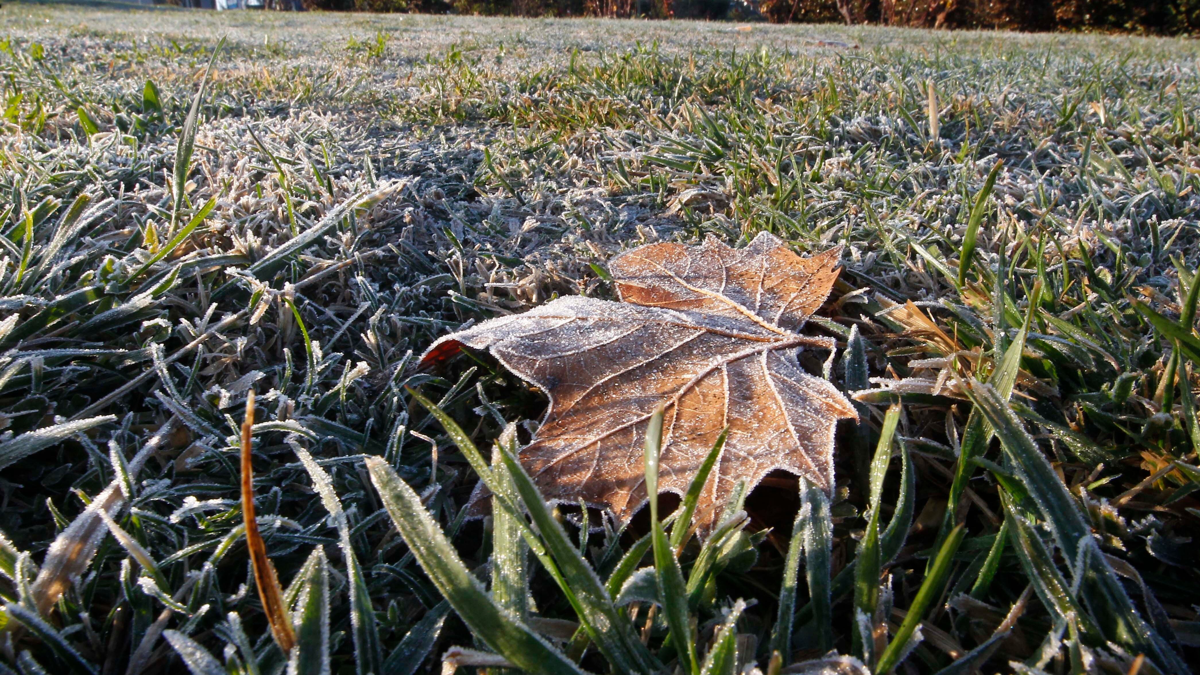 Bajas temperaturas en la RM.